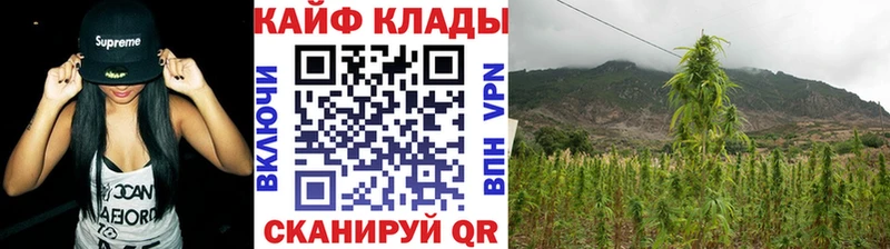 Какие есть наркотики Борзя Alpha-PVP  Меф  Амфетамин  ГАШИШ 
