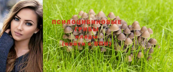 mix Аркадак