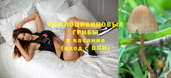 винт Арсеньев