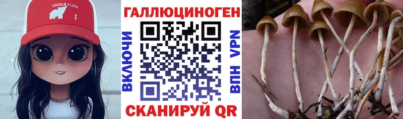 ссылка на мегу ONION  Борзя  Галлюциногенные грибы Magic Shrooms 